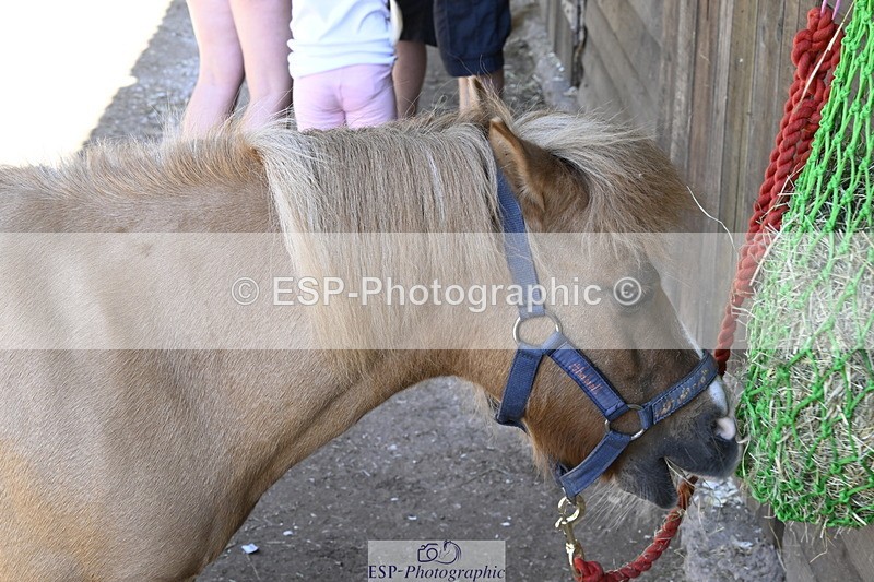 240728B-092554-00014 - Sunday Stable Shots and Fancy Dress