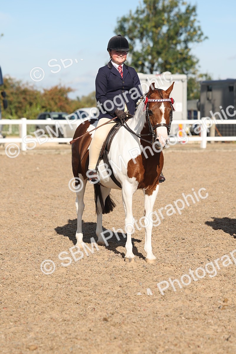SBM_12361 - Class 304 - Ridden part Bred Horse Pony