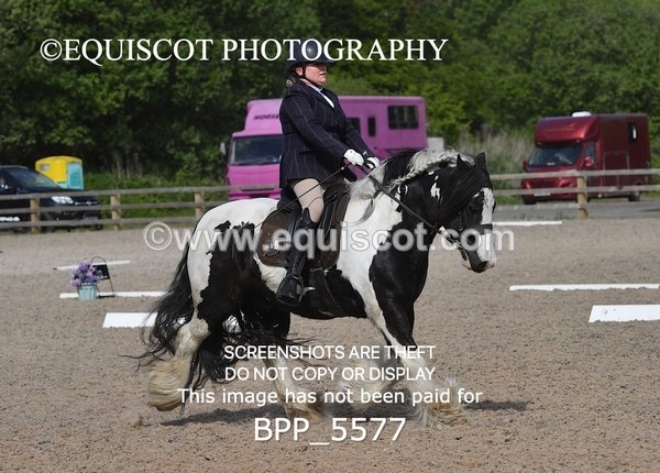 BPP_5577 - 4 L DENHOLM