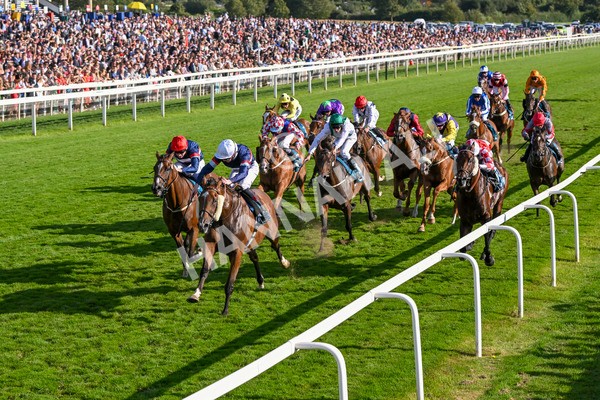240824-Race 7-Sir Busker-1983 - Race 7 5.20pm Sky Bet Finale Handicap