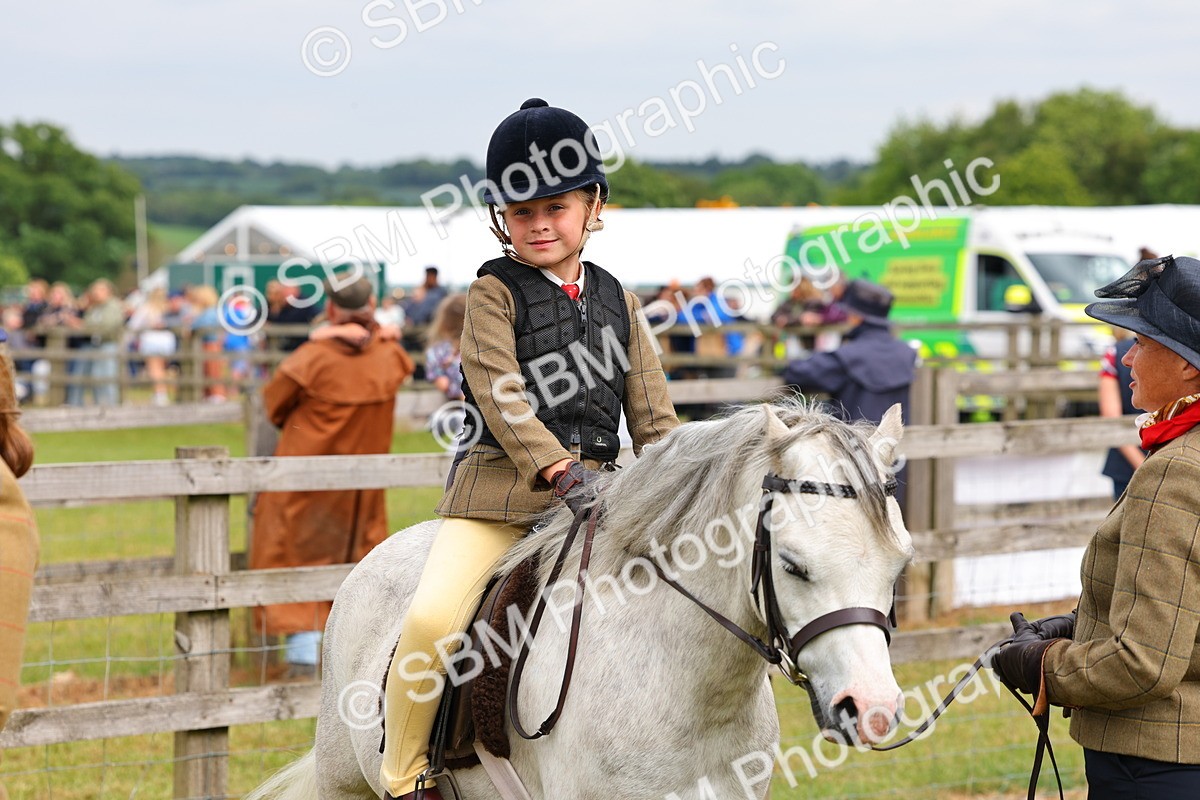 SBM_08304 - Class 42-43 - LIHS BSPS Heritage Working Sports Pony