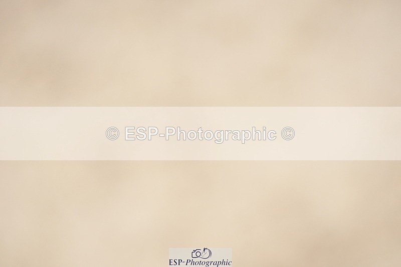 230924A-122026-04737 - 100 SJ 12.00 to End