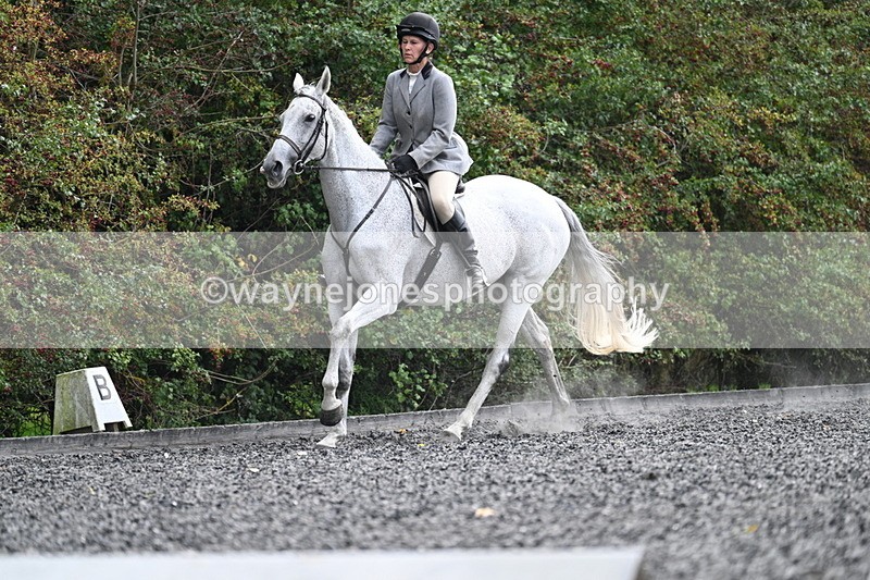 WJ7_5982 - Time 14:10 to 14:45