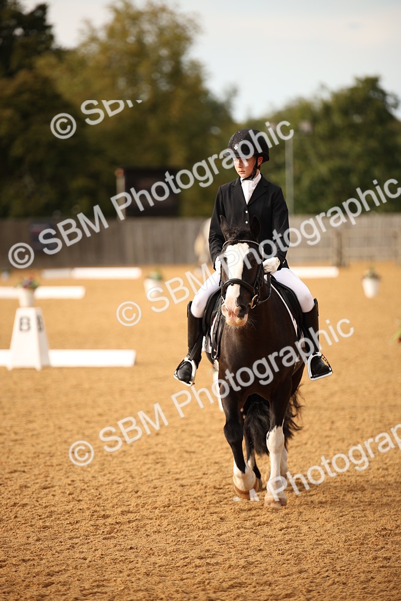 SBM_12410 - D3 Small  Tour Championship Intro A