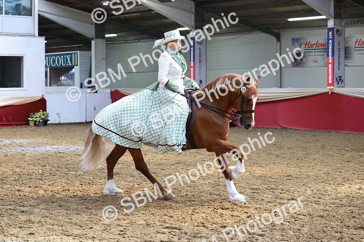 SBM_13712 - Class 106 - Ridden Costume -Astride Adult (15-19)