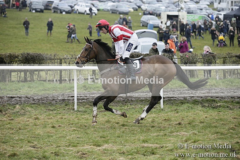 PtP 020418 -124 - Old Berks Point-to-Point Races Easter Monday 02/04/18