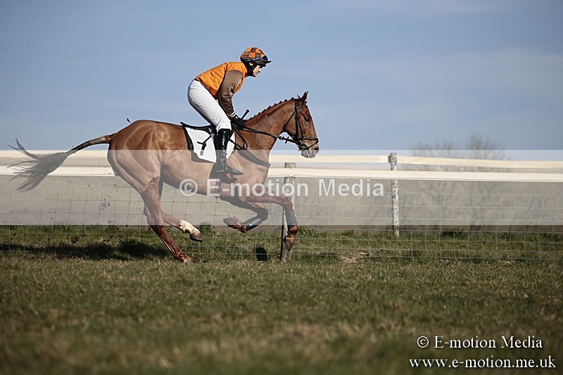 PtP 240218 473 - Vine & Craven Hunt Point-to-Point Barbury racecourse 24/02/18