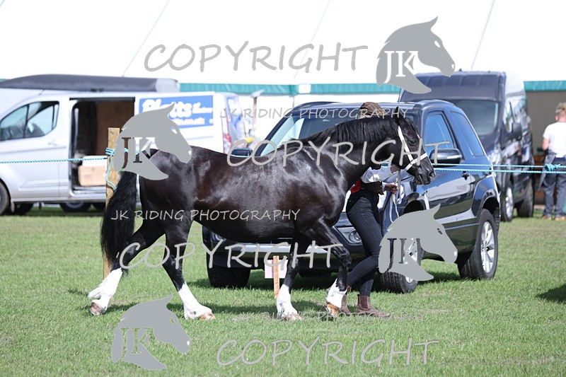 APP_2751 - Class 10a/b M&M in hand