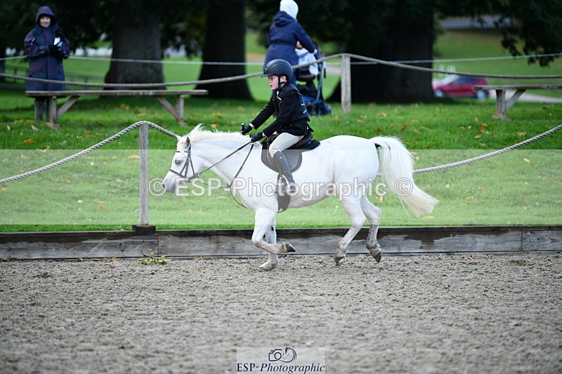 251004A-114023-00702 - Classes 4 & 5 50cm