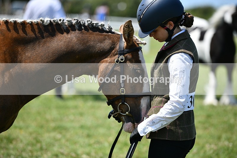 DSC_7768 - Class 64: Coloured Pony 4yrs & over