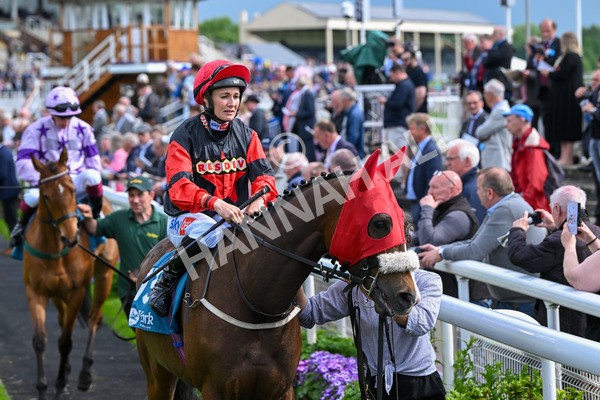 150524-Race 5-Diligent Resdev-4322 - Race 5 4.15pm Conundrum HR Consulting Handicap