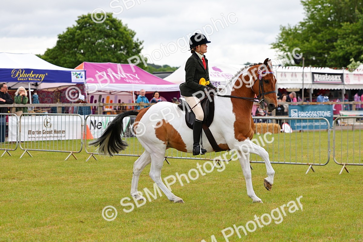 SBM_02570 - Class 9-11 Side Saddle including LIHS Rising Star Ladies Show Horse