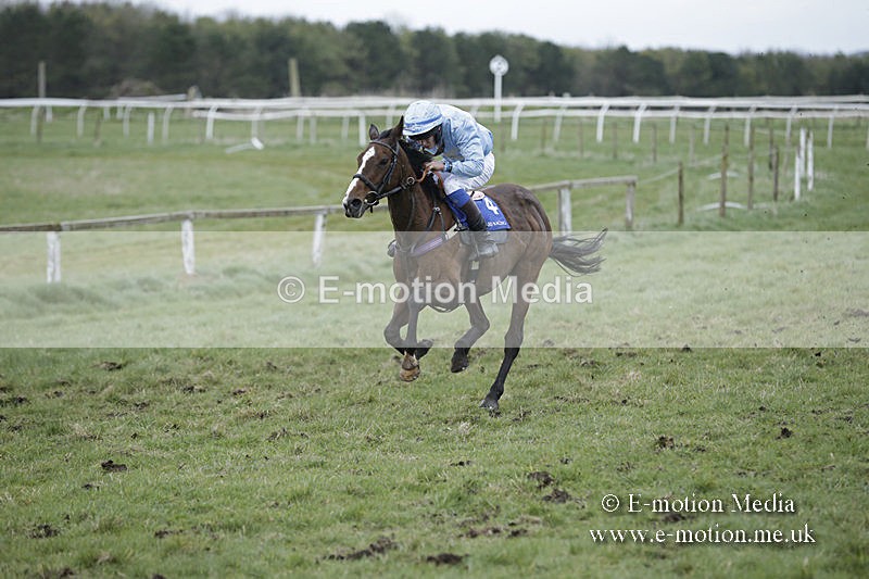 PtP 150320 0891 - New Forest Point-to-Point Larkhill 15/03/20