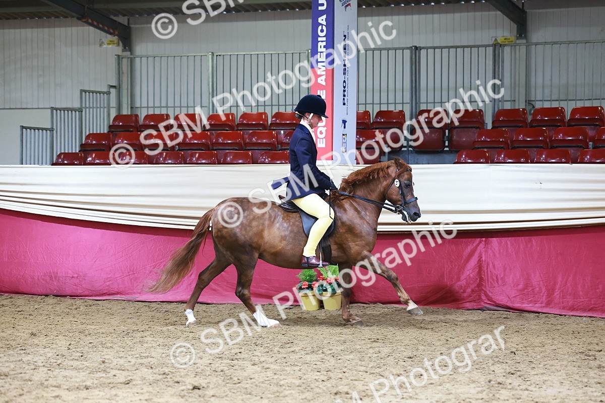 SBM_23269 - Class 904 - Supreme Final - Ridden Diamond