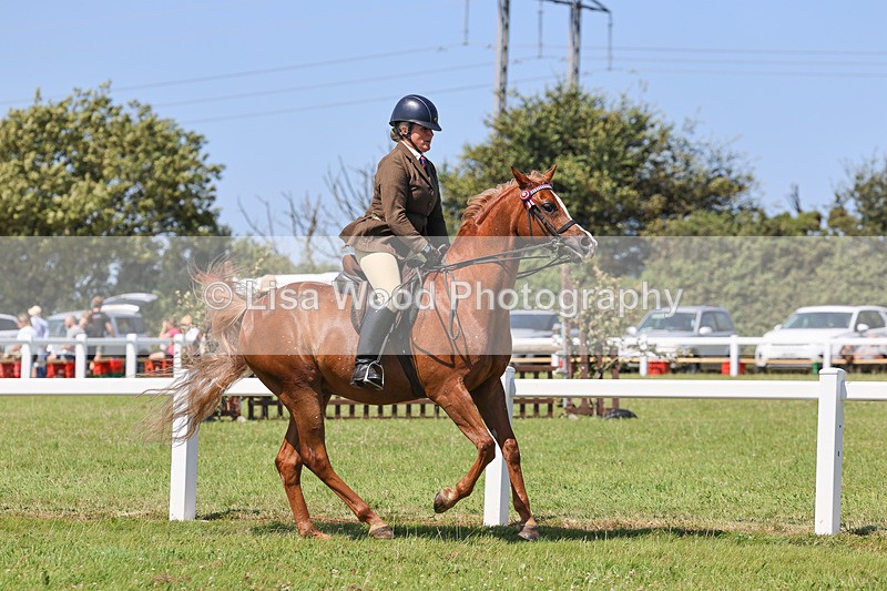 IMG_2244 - Class 37: Pure, Anglo & Part Bred Ridden Arab