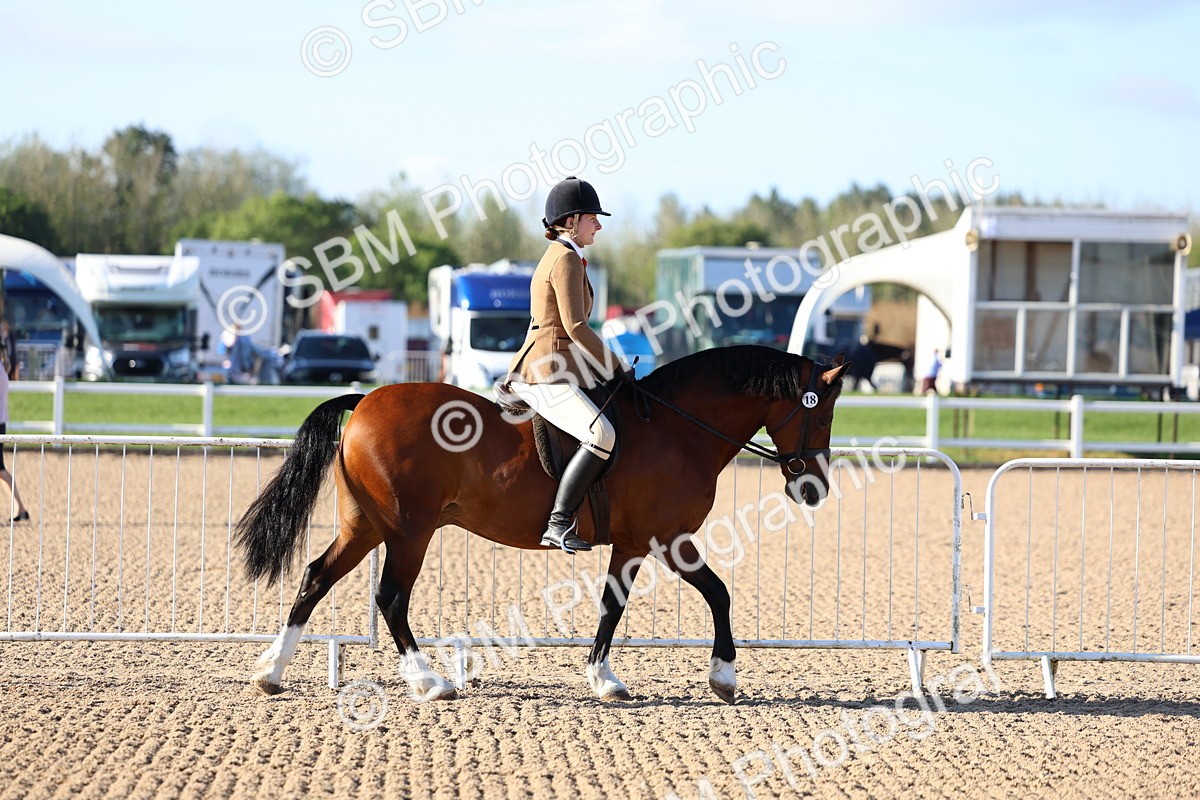 SBM_08702 - Class 302 - Ridden M&M - Large Breeds