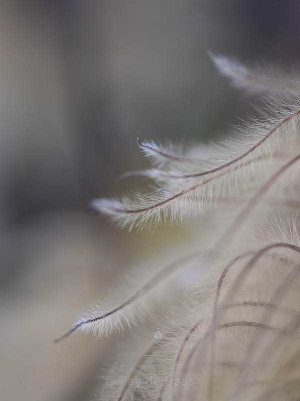  - Ethereal
