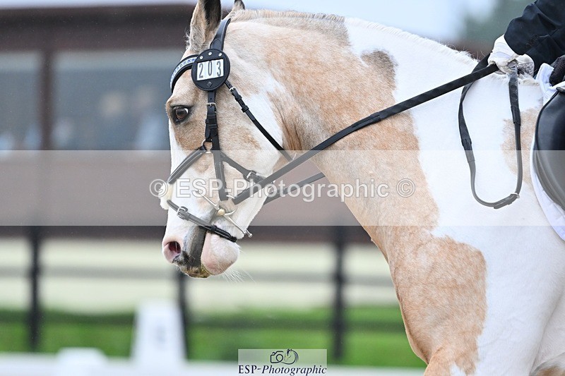 241103-122003-01328 - Prelim 2 - 12.05 to 13.15