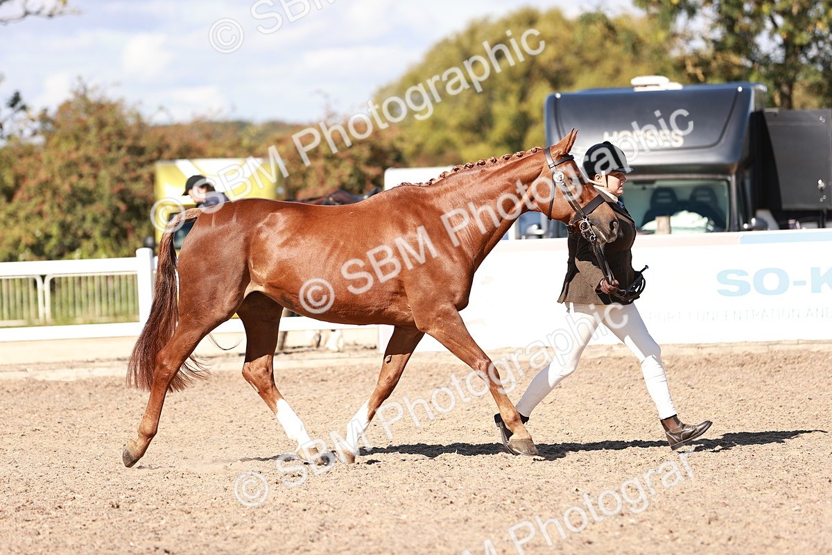 SBM_13314 - class 406 - IH Hunter