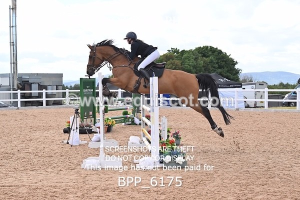 BPP_6175 - CLASS 11 THURS GFS Saddles Senior Newcomers/1.10m Open