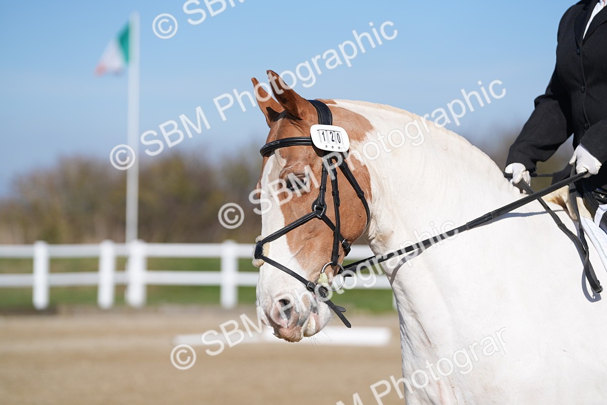 SBM_001900 - Class 3 - P1