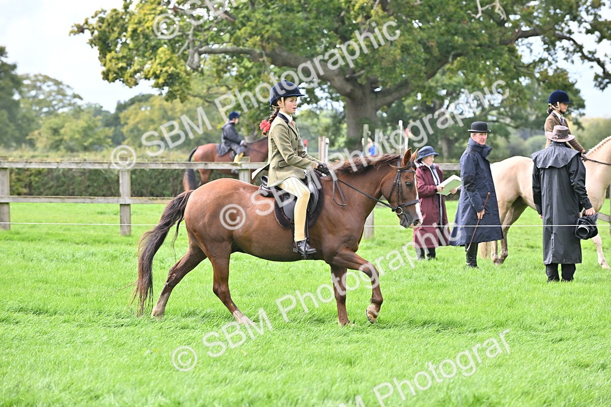 SBM_44480 - S13 - Pony Club Pony