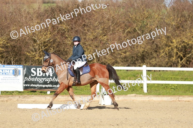 20260314-5317 - DR4 - Prelim 2