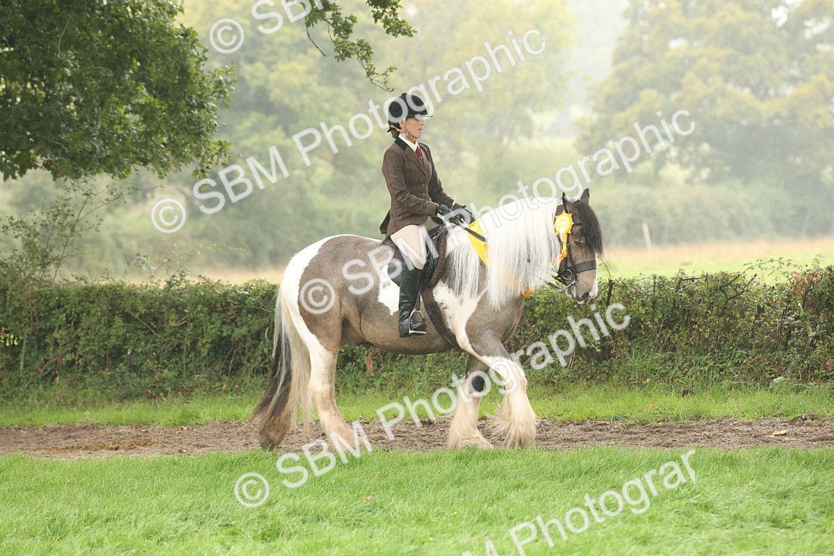 SBM_72873 - S70 - Traditional Cob Ridden