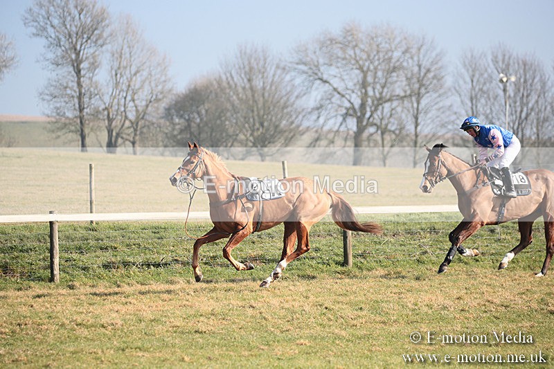 PtP 230219 160 - Vine & Craven Point-To-Point - Barbury 23/02/19