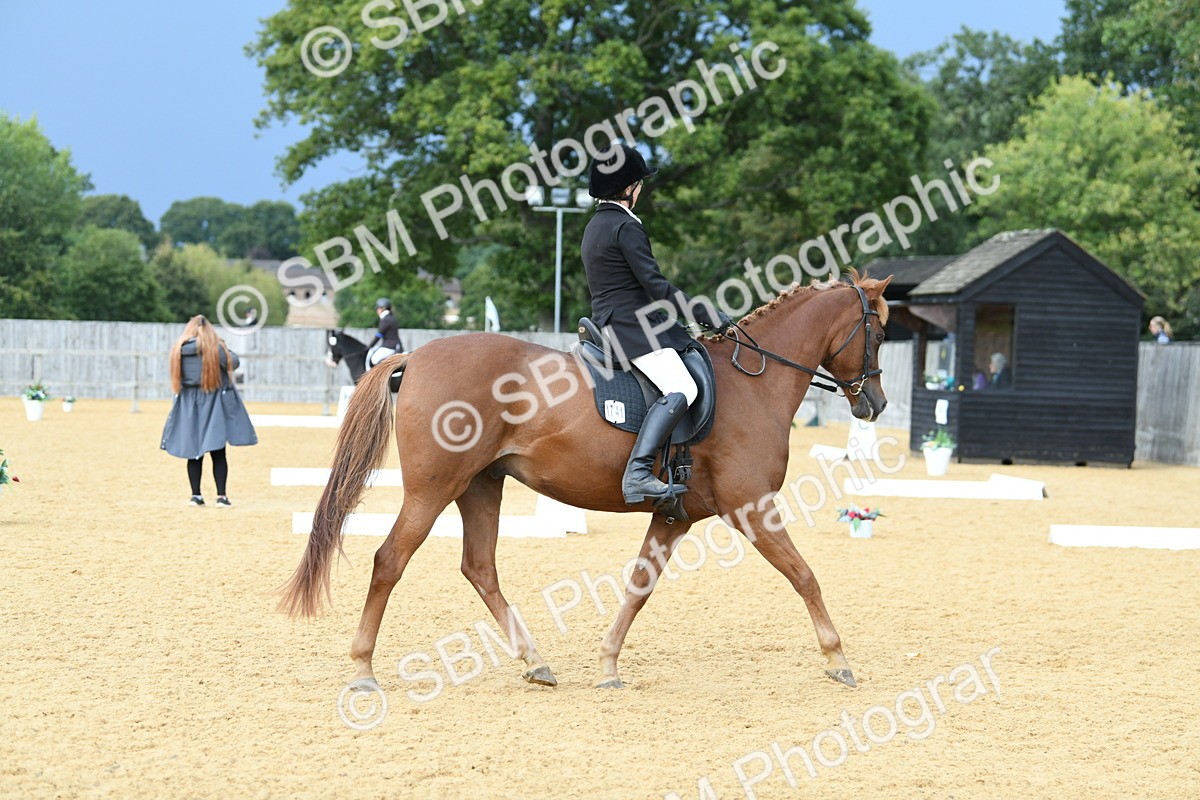 SBM_10946 - D28 Elementary Taster Elementary 42