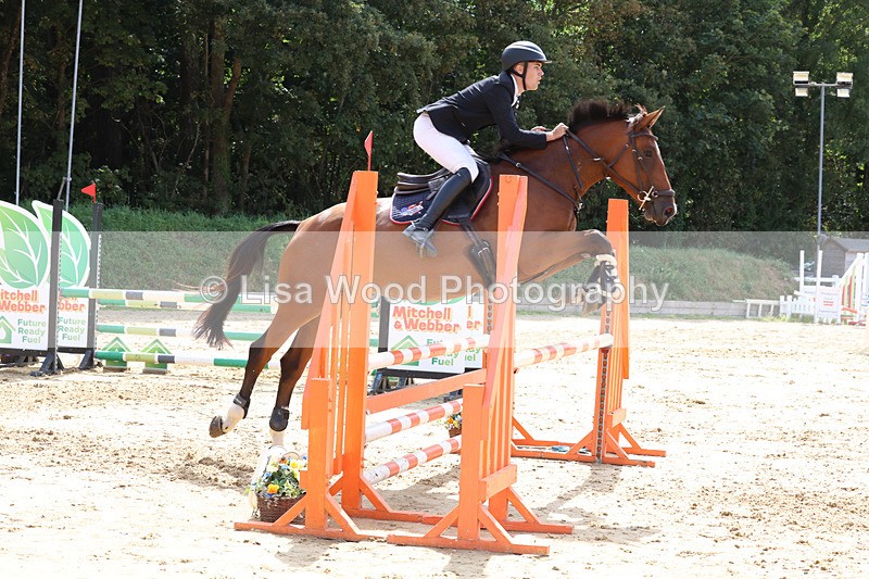 3E7A3793 - Class 4: Senior British Novice/90cm open
