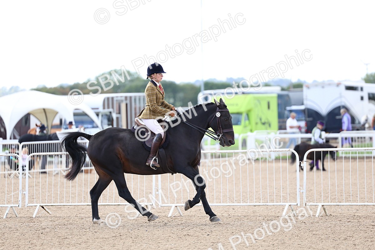 SBM_10085 - Class 304 - Ridden Part Bred Horse Pony