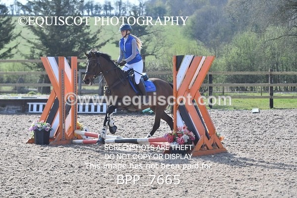 BPP_7665 - CLASS 0 Clear Round Show Jumping