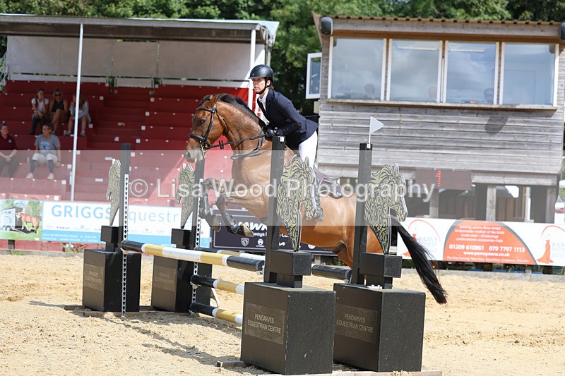 3E7A3680 - Class 4: Senior British Novice/90cm open