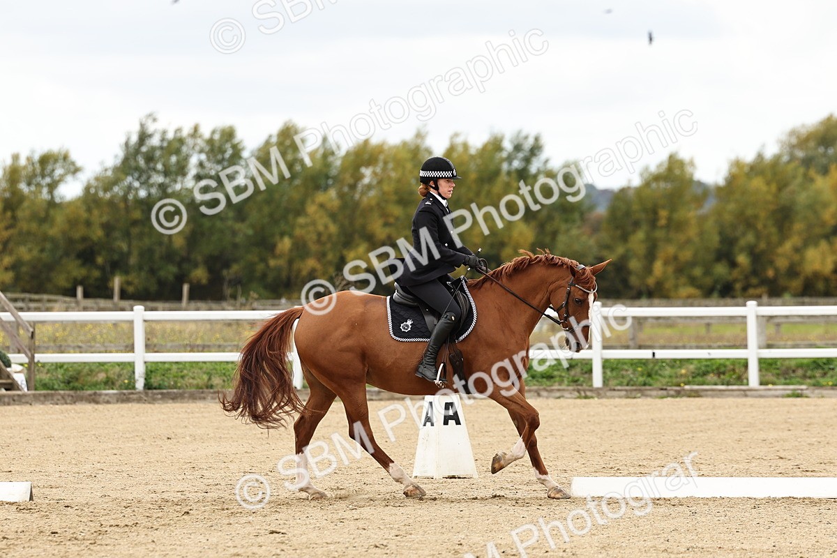 SBM_004562 - Class 69 - Novice 2