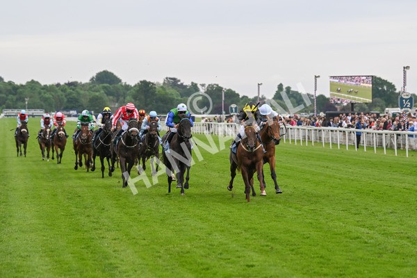 250524-Race 2-Arabie-2976 - Race 2 2.10pm Reg Bond 'Always And Forever' EBF Restricted Novice Stakes