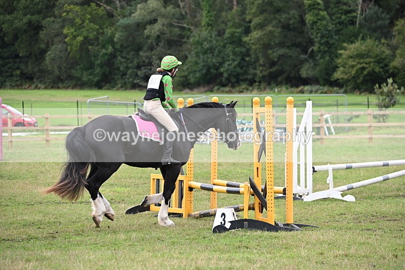 WJ6_1846 - 60cm Time 12:11 to 12:28