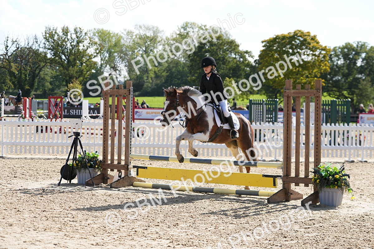 SBM_46590 - J7 - Junior Pony 60cm Championship