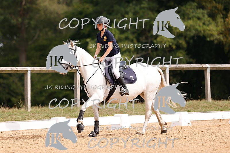 _R6A2464 - Dressage Morning