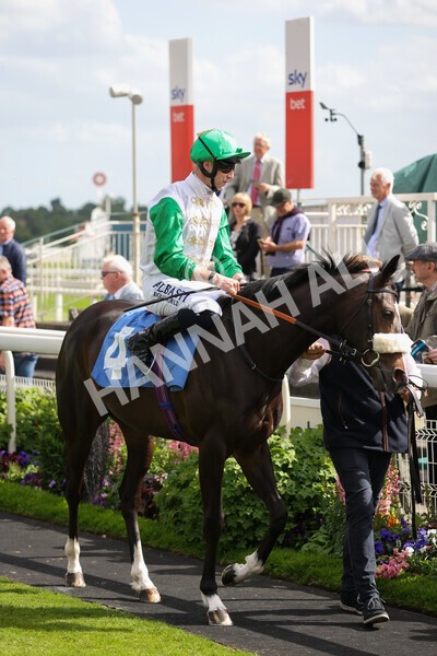 yr10062022r6-2 - Race 6 4.40pm No 1 York by GuestHouse Hotels British EBF Novice Fillies Stakes