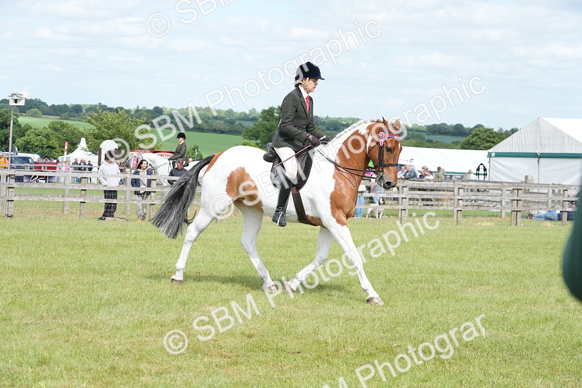SBM_17598 - Class 107-108 - LIHS BSPS Performance Coloured Horse Pony