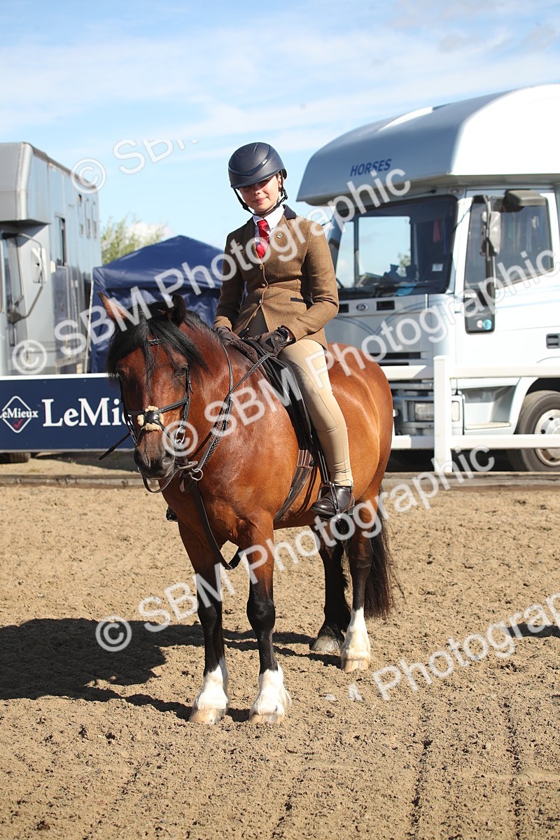 SBM_12769 - Class 504b - Junior Working Veteran - 40cm (20+)