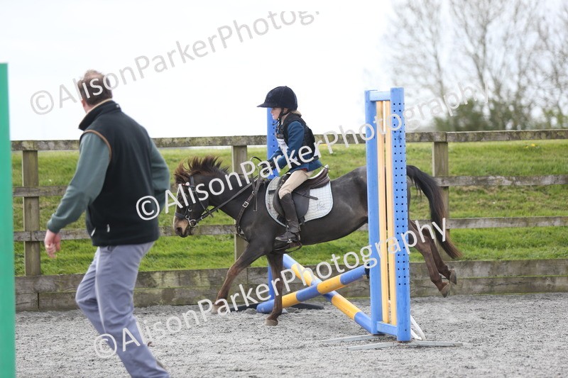 20260412-0568 - Show Jumping