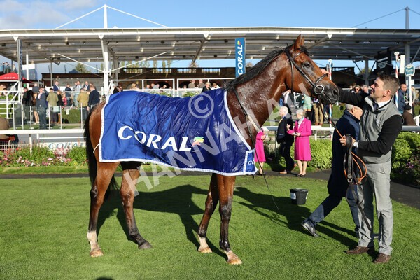 yr08102022r5-55 - Race 5 3.50pm The Coral Committed To Safer Gambling EBFStallions.com Maiden Stakes