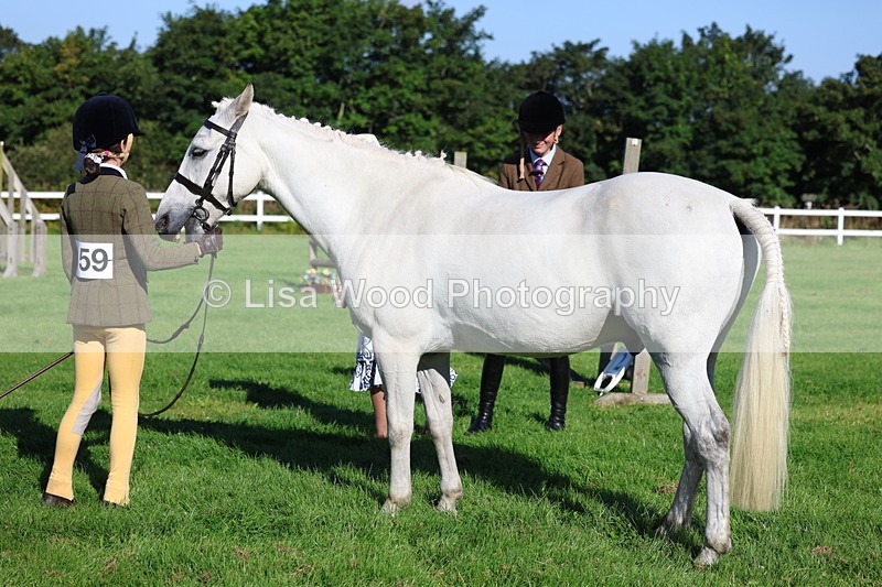 3E7A7688 - Class 1: Novice Working Hunter Pony