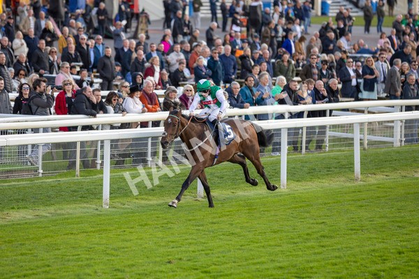 111024-Race 3-Minstrel Knight-6894 - Race 3 2.40pm William Hill Finale Handicap
