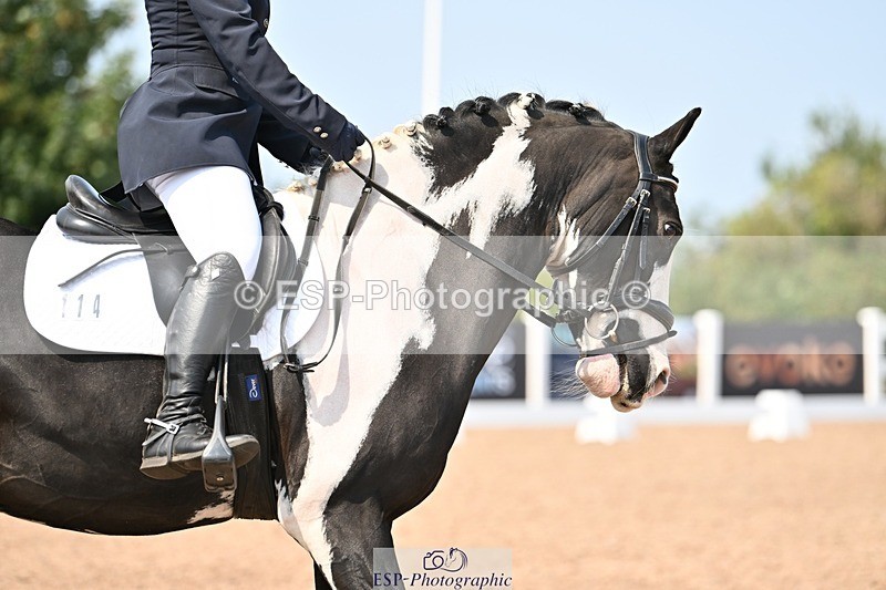 250816-132100-04654 - 114-Stacey.DonnisonPaddy.XIII