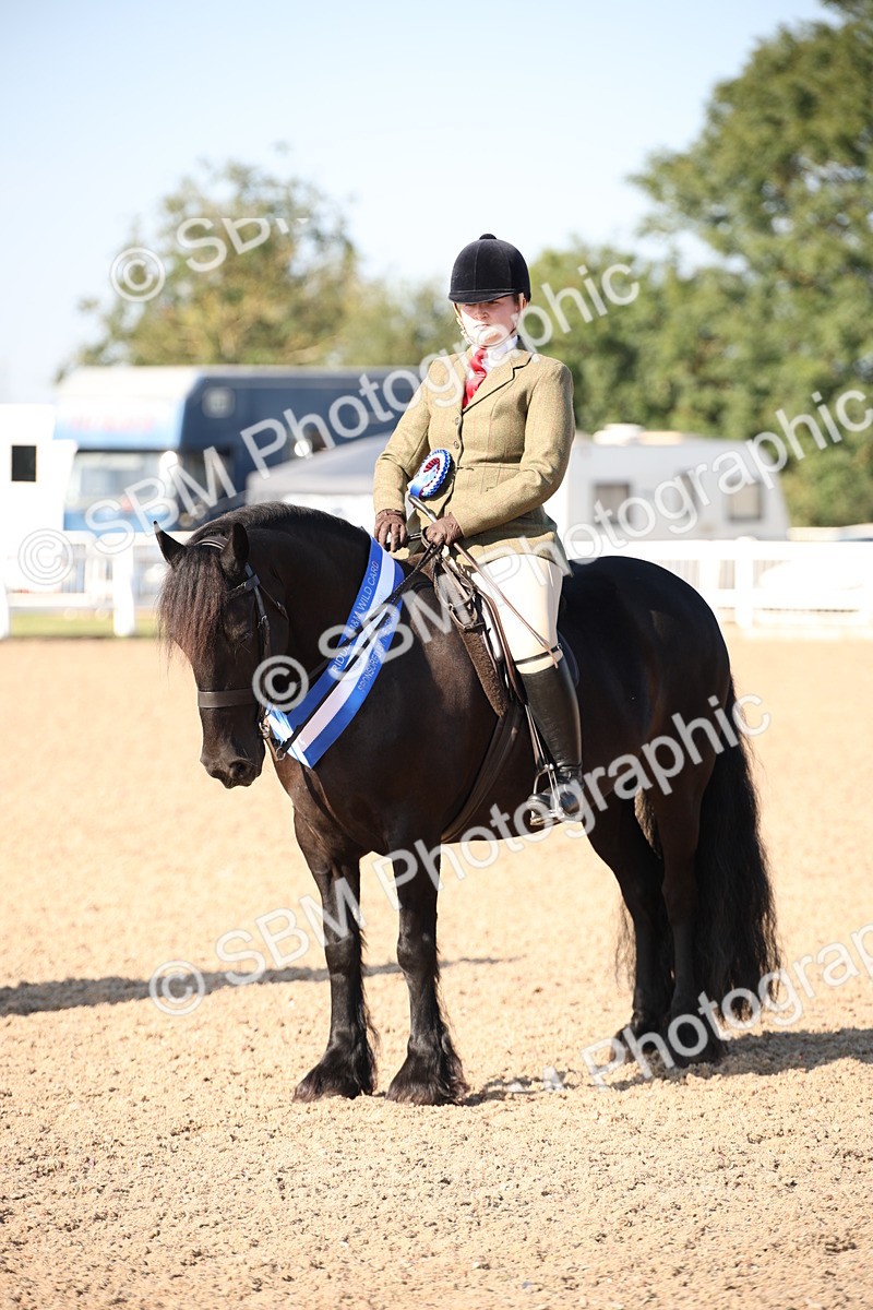 SBM_00780 - Class 14 Ridden M&M Wildcard