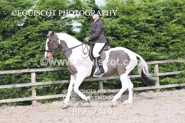 BPP_7410 - RING 1  (RIDDEN HORSES / IN HAND / VETERAN ETC)