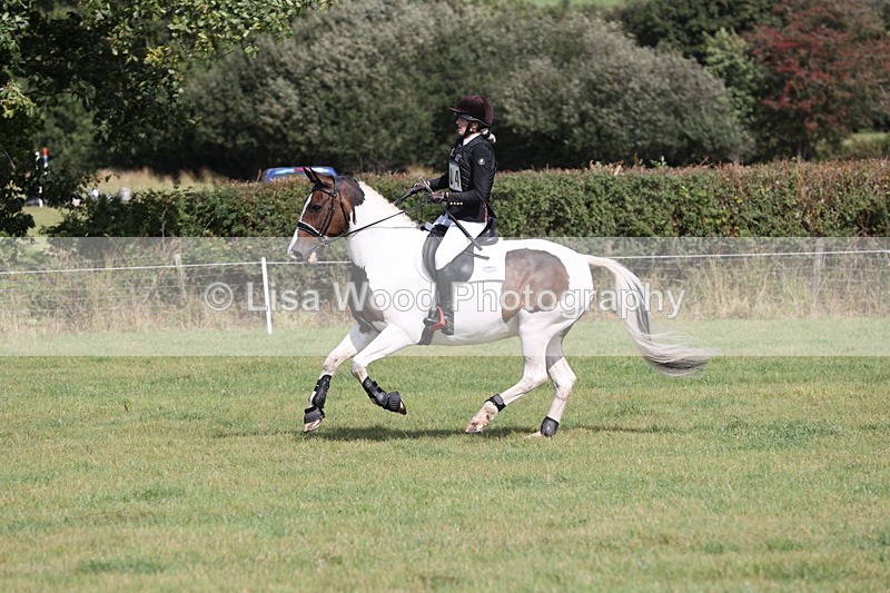 JPP_8689 - Class 2: Trekenning: 80cm Showjumping